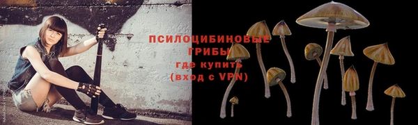 марихуана Богородицк