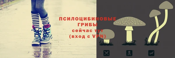 ECSTASY Белоозёрский