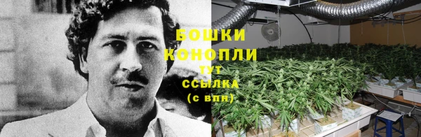 бутират Богданович