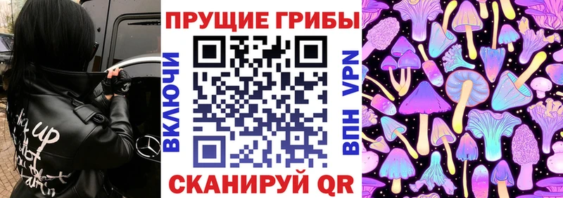 Псилоцибиновые грибы Psilocybe  даркнет сайт  Мещовск 